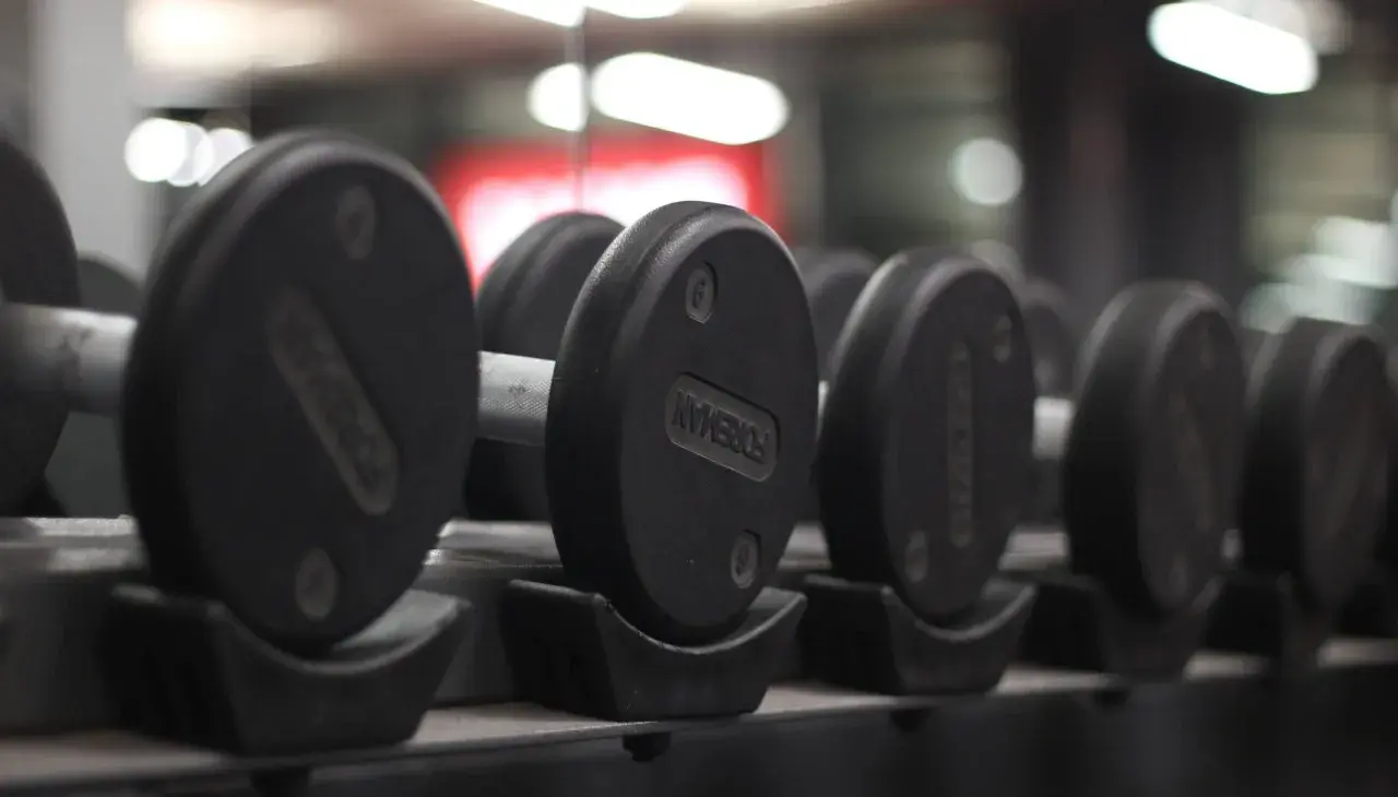 Dziki Gym — siłownia Kraków kickboxing K1 Krav Maga