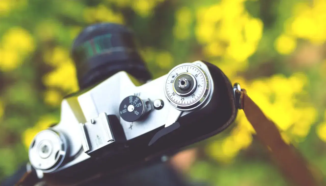 MW Fotografie — portfolio fotografki